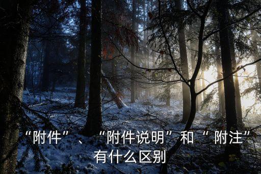 附注