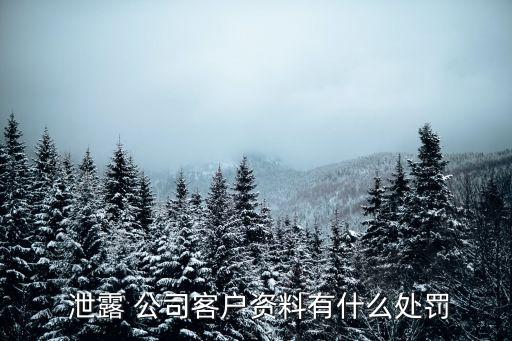  泄露 公司客戶資料有什么處罰