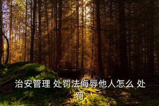 辱罵他人的治安處罰,民法典公共場(chǎng)合辱罵他人的治安處罰