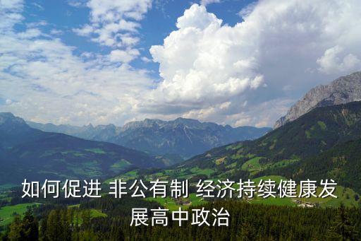 如何促進(jìn) 非公有制 經(jīng)濟(jì)持續(xù)健康發(fā)展高中政治
