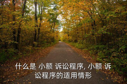 什么是 小額 訴訟程序, 小額 訴訟程序的適用情形