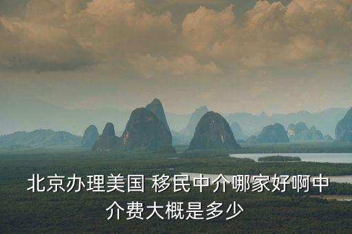  北京辦理美國 移民中介哪家好啊中介費大概是多少