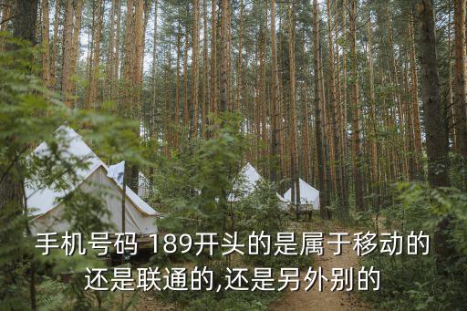 189號(hào),139號(hào)段哪年發(fā)行的