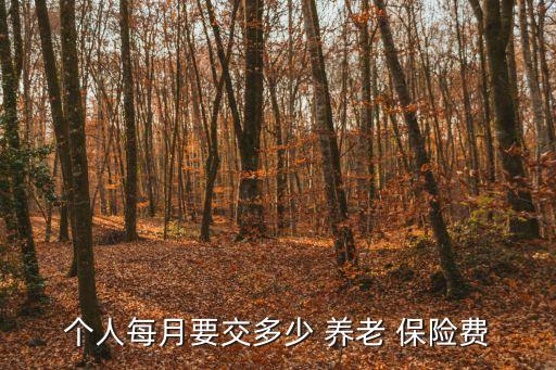 養(yǎng)老保險費