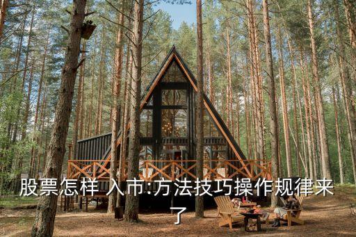 股票怎樣 入市:方法技巧操作規(guī)律來了