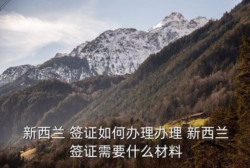 新西蘭簽證中心
