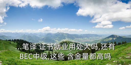 ...筆譯 證書(shū)就業(yè)用處大嗎,還有BEC中級(jí),這些 含金量都高嗎