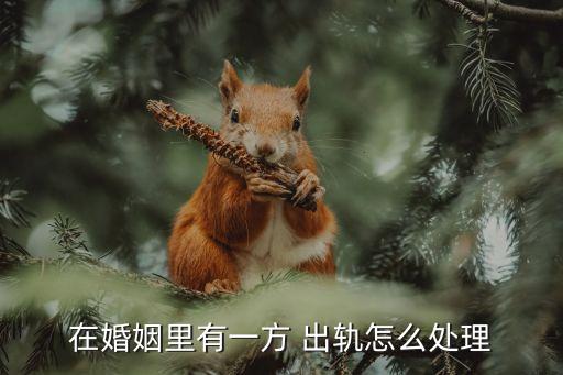婚姻法規(guī)定婚內(nèi)出軌怎么處理,婚姻第三者插足報警可以嗎