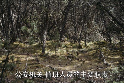 公安機(jī)關(guān) 值班人員的主要職責(zé)