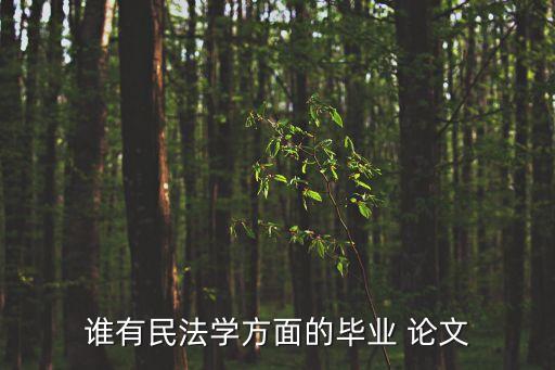 誰(shuí)有民法學(xué)方面的畢業(yè) 論文