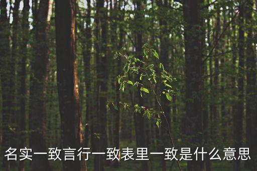 名實一致言行一致表里一致是什么意思