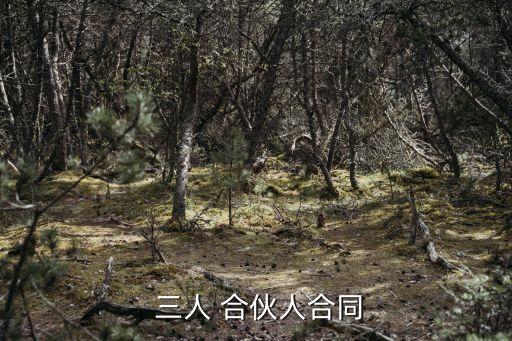 簡(jiǎn)易合伙協(xié)議書三人,三人合伙經(jīng)營(yíng)協(xié)議書(實(shí)用版)