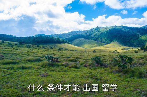 什么 條件才能 出國 留學(xué)