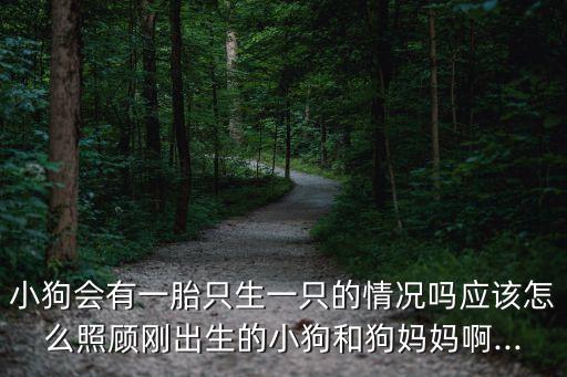 懲罰母狗