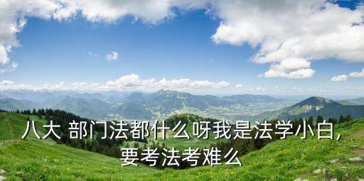 八大 部門法都什么呀我是法學(xué)小白,要考法考難么