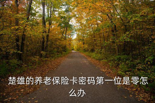  楚雄的養(yǎng)老保險(xiǎn)卡密碼第一位是零怎么辦