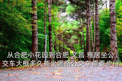 從合肥小花園到合肥 文昌 雅居坐公交車大概多久能坐哪路公交車需要步行...