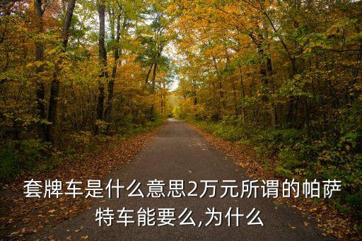  套牌車是什么意思2萬元所謂的帕薩特車能要么,為什么