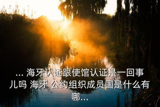 海牙公約