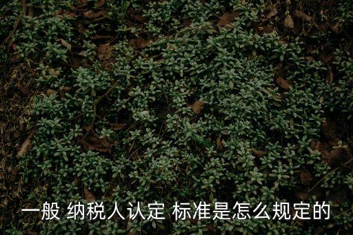 一般納稅人標(biāo)準(zhǔn),2023年一般納稅人標(biāo)準(zhǔn)