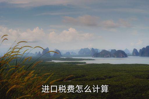  進(jìn)口稅費(fèi)怎么計(jì)算