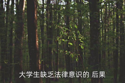 大學(xué)生缺乏法律意識(shí)的 后果