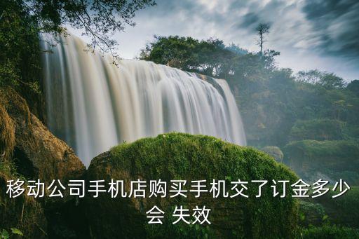 定金一般多少天失效,口頭協(xié)議交了定金不退怎么辦