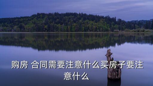 購房 合同需要注意什么買房子要注意什么