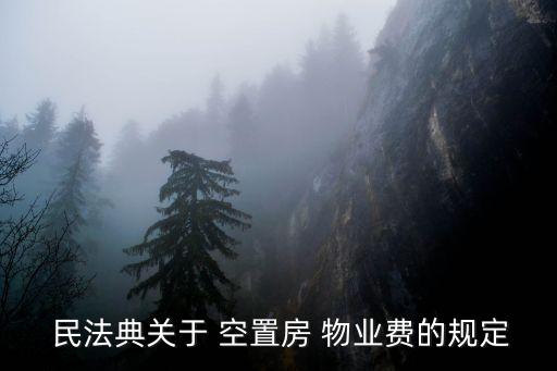  民法典關(guān)于 空置房 物業(yè)費(fèi)的規(guī)定