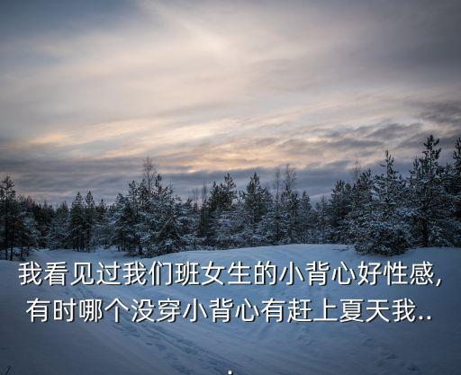 我看見過我們班女生的小背心好性感,有時哪個沒穿小背心有趕上夏天我...