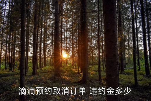 網(wǎng)約車退車違約金