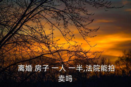  離婚 房子 一人 一半,法院能拍賣嗎