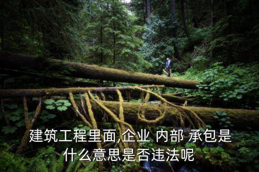  建筑工程里面,企業(yè) 內(nèi)部 承包是什么意思是否違法呢