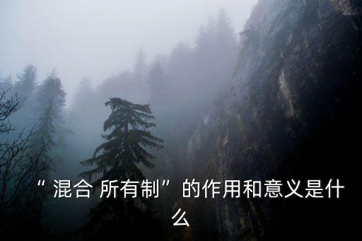 “ 混合 所有制”的作用和意義是什么