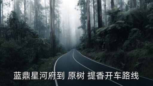 原樹提香,翡翠路原樹提香