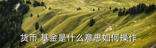 貨幣 基金是什么意思如何操作