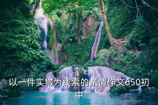 以一件實物為線索的親情作文650初中