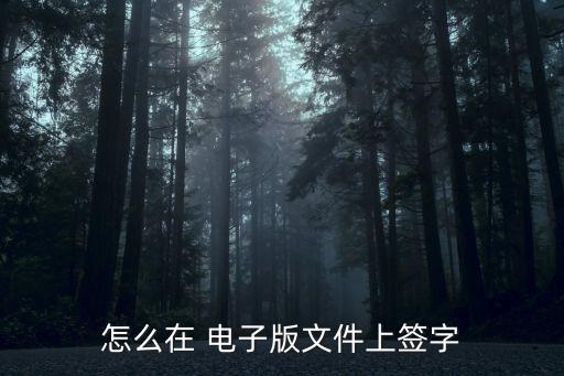 怎么在 電子版文件上簽字