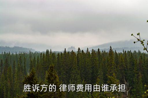  勝訴方的 律師費(fèi)用由誰承擔(dān)