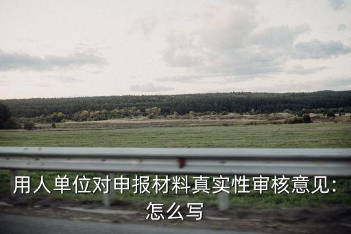 合法性審查意見書,重大行政決策合法性審查意見書