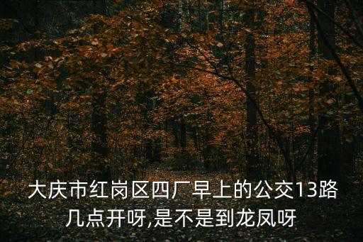  大慶市紅崗區(qū)四廠早上的公交13路幾點(diǎn)開呀,是不是到龍鳳呀