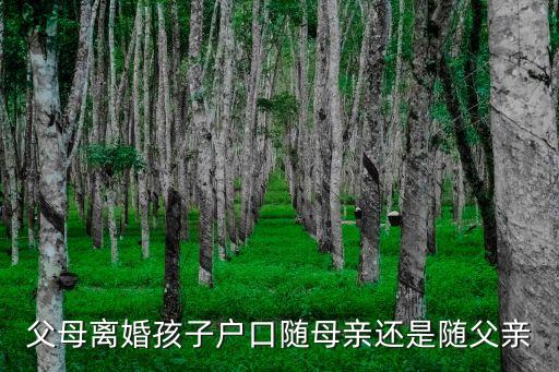 父母離婚孩子戶口隨母親還是隨父親