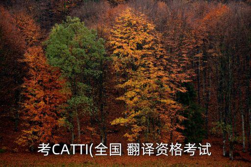 考CATTI(全國(guó) 翻譯資格考試