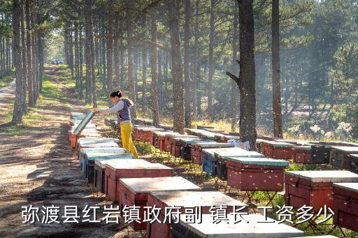 彌渡縣紅巖鎮(zhèn)政府副 鎮(zhèn)長 工資多少