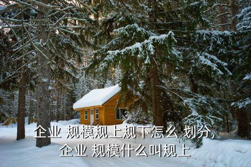  企業(yè) 規(guī)模規(guī)上規(guī)下怎么 劃分, 企業(yè) 規(guī)模什么叫規(guī)上