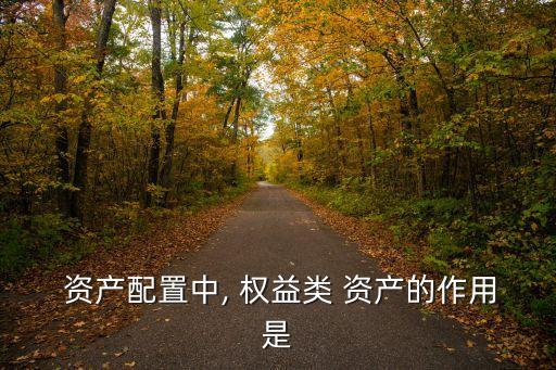 權(quán)益資產(chǎn)
