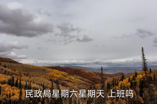  民政局星期六星期天 上班嗎