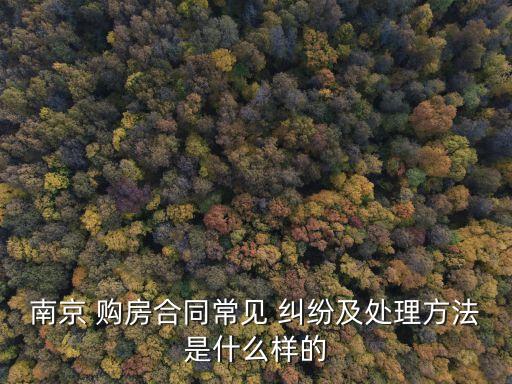 南京 購(gòu)房合同常見(jiàn) 糾紛及處理方法是什么樣的