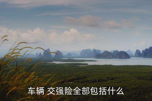 車輛 交強險全部包括什么
