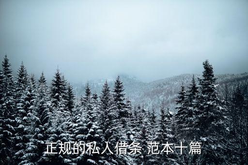 正規(guī)的私人借條 范本十篇